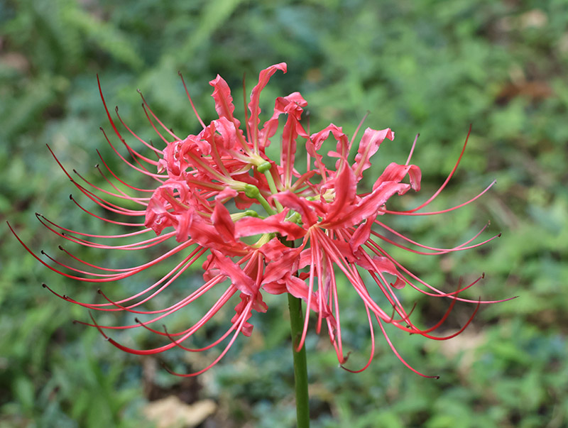 1758633203.jpg 4T8A7375.jpg